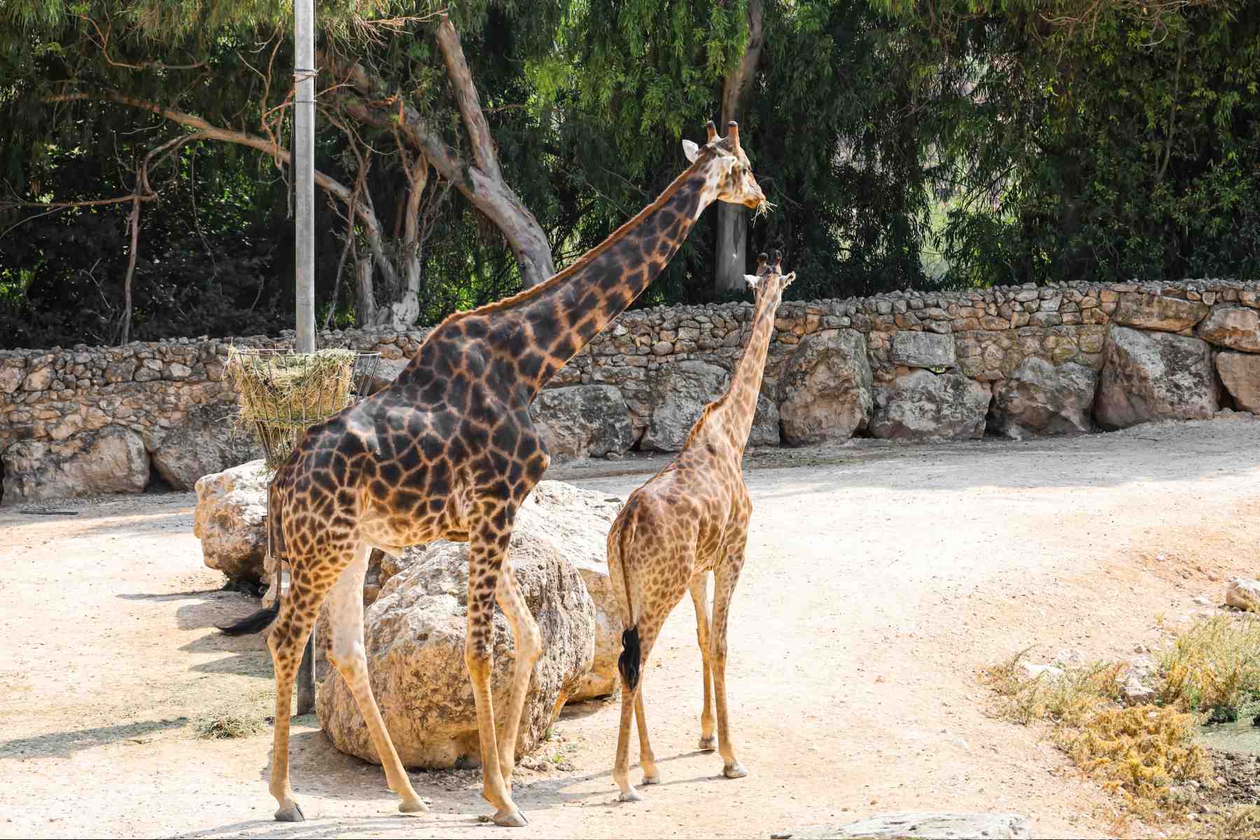Kanpur Zoological Park