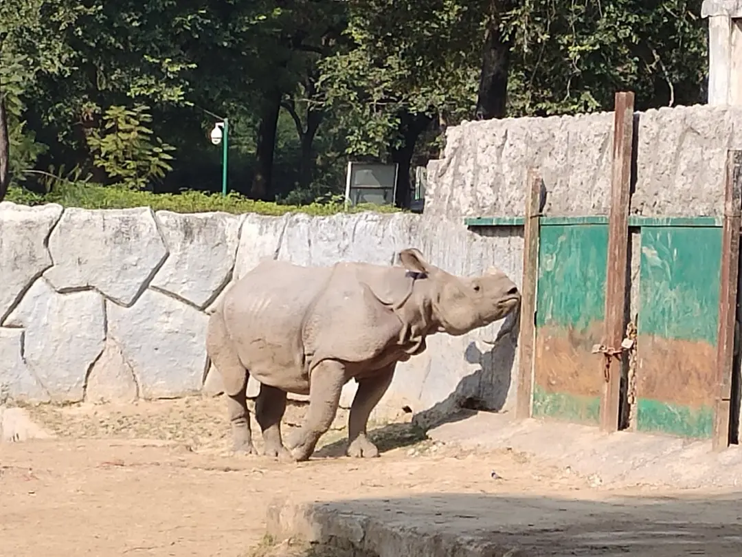 Kanpur Zoological Park